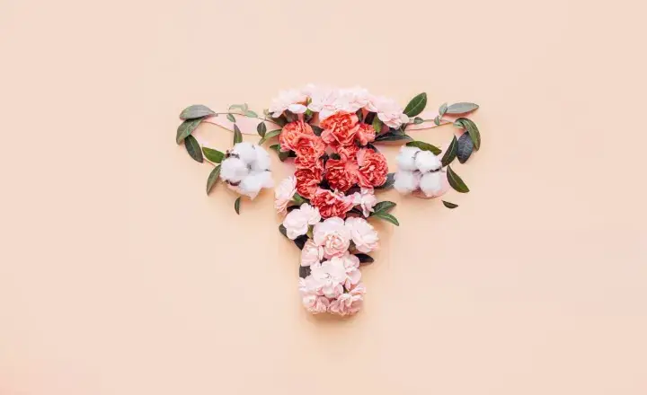 Female Uterus - Aligned Natural Health